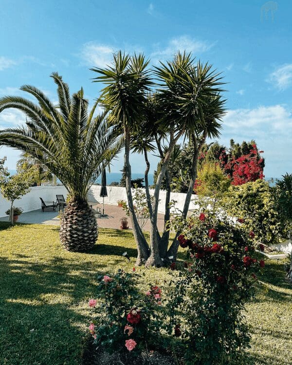 teamrejser til Andalusiens skjulte paradis, Nerja teamrejser til Andalusiens skjulte paradis, Nerja