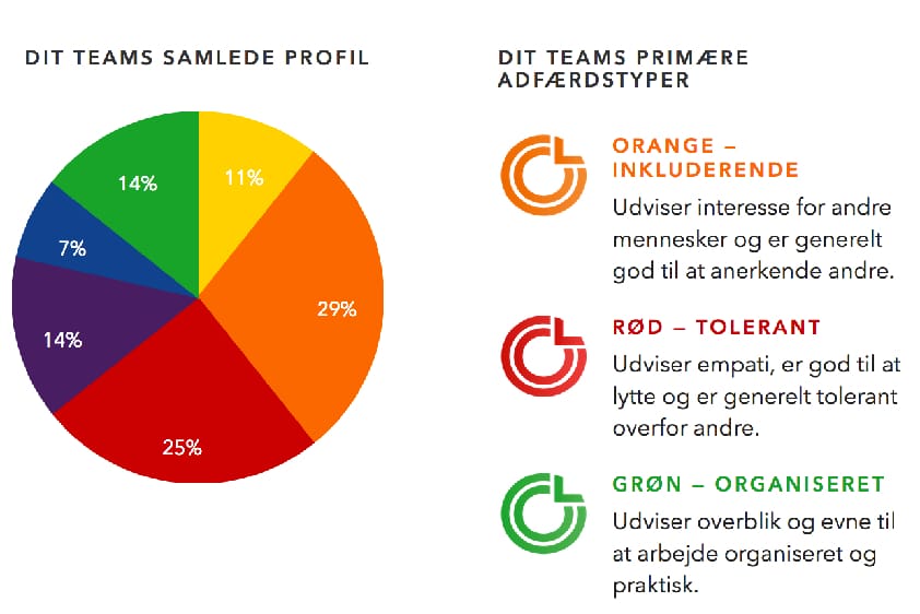 Praice - eksempel på Teamprofil